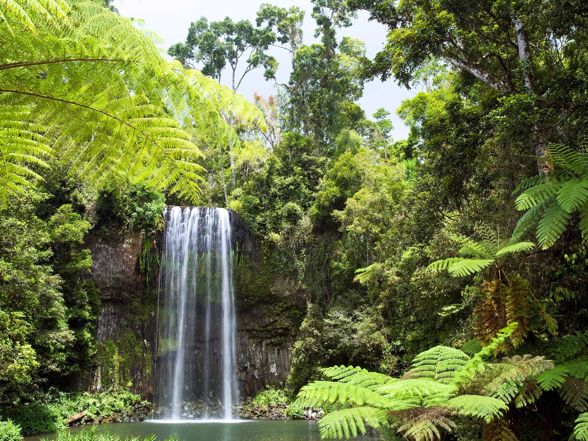 Tropical rainforest waterfall in Far North Queensland